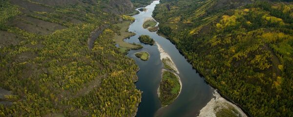 La naturaleza de Siberia - Sputnik Mundo