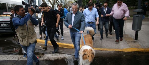 Alberto Fernández y su perro Dylan - Sputnik Mundo