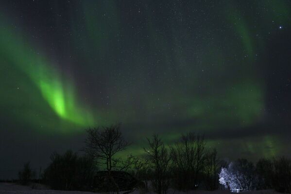 La mágica aurora se apodera del Extremo Norte de Rusia - Sputnik Mundo