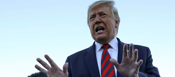 Donald Trump, presidente de EEUU - Sputnik Mundo