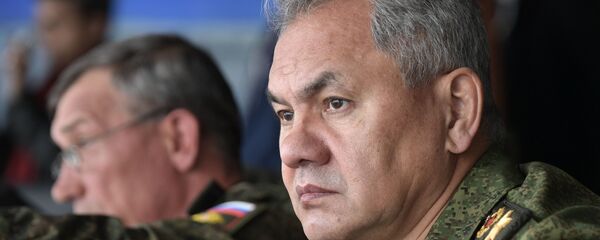 Serguéi Shoigú, el ministro de Defensa de Rusia - Sputnik Mundo