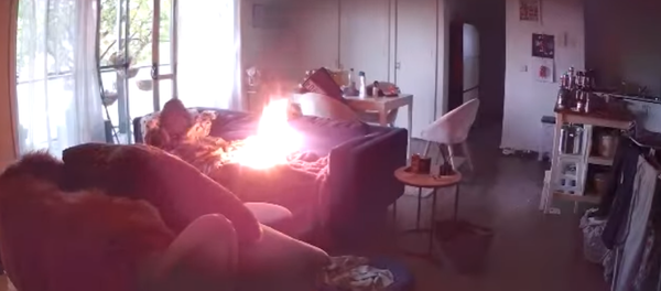 ¿Perrito caliente? El juego de una mascota con un encendedor acaba mal - Sputnik Mundo