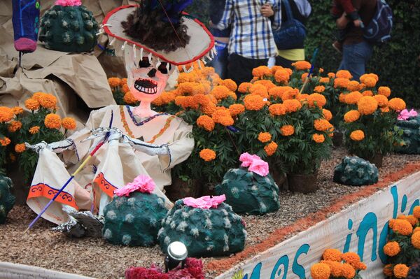 Cempasúchil, flor mexicana que embellece el camino al inframundo | Fotos - Sputnik Mundo