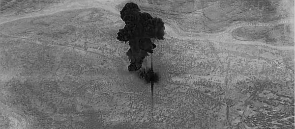 Operación para eliminar a Abu Bakr Bagdadi - Sputnik Mundo