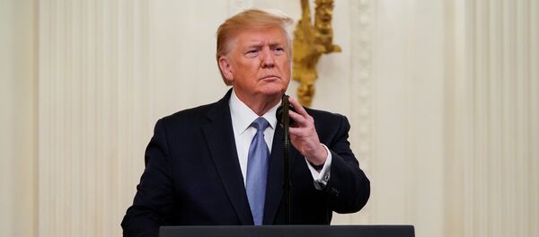 Donald Trump, el presidente de EEUU - Sputnik Mundo