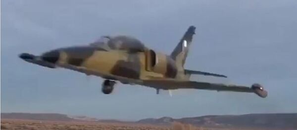 Este avión se viraliza con el 'corte de pelo' que deja a estos militares Este avión se viraliza con el 'corte de pelo' que deja a estos militares - Sputnik Mundo