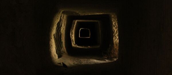 Una guarida, imagen referencial - Sputnik Mundo