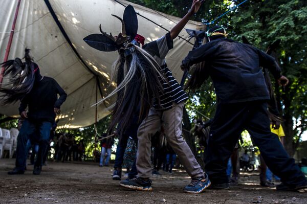 Periodista afromexicano: Nos enfrentan con los indígenas para pelear por el presupuesto - Sputnik Mundo