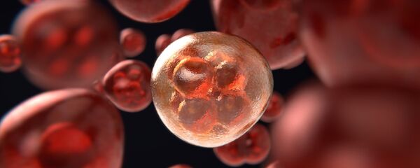 Células (imagen referencial) - Sputnik Mundo