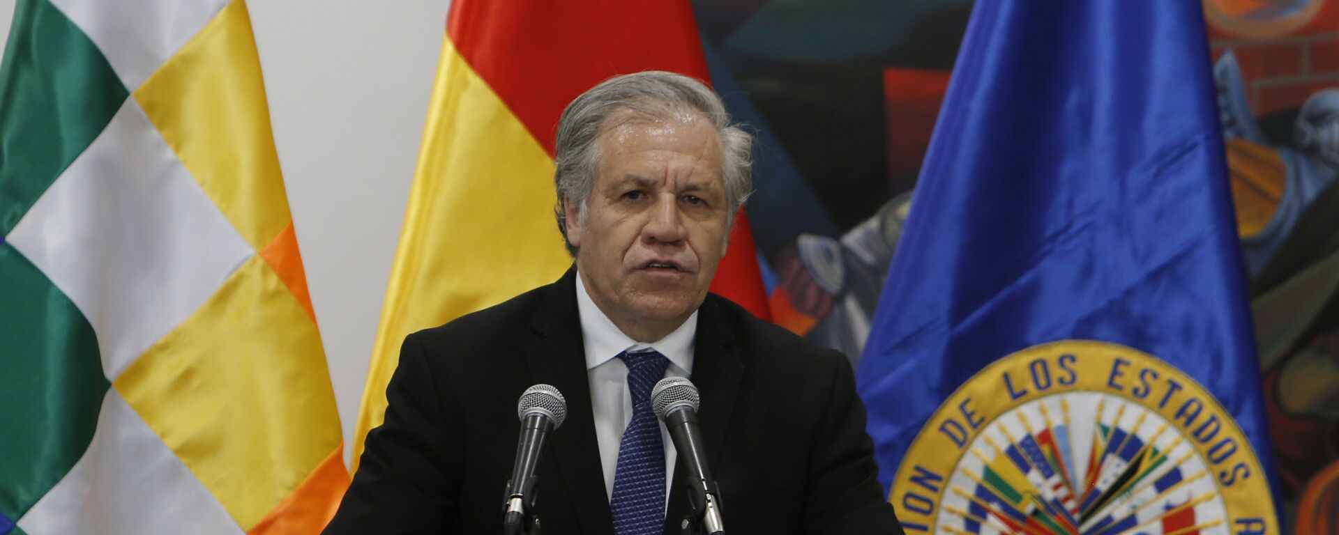 Luis Almagro, el secretario general de la OEA  - Sputnik Mundo, 1920, 07.09.2022