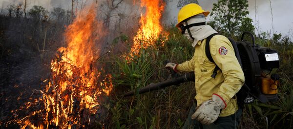 Bomberos brasileños luchan contra los incendios forestales en Amazonía - Sputnik Mundo