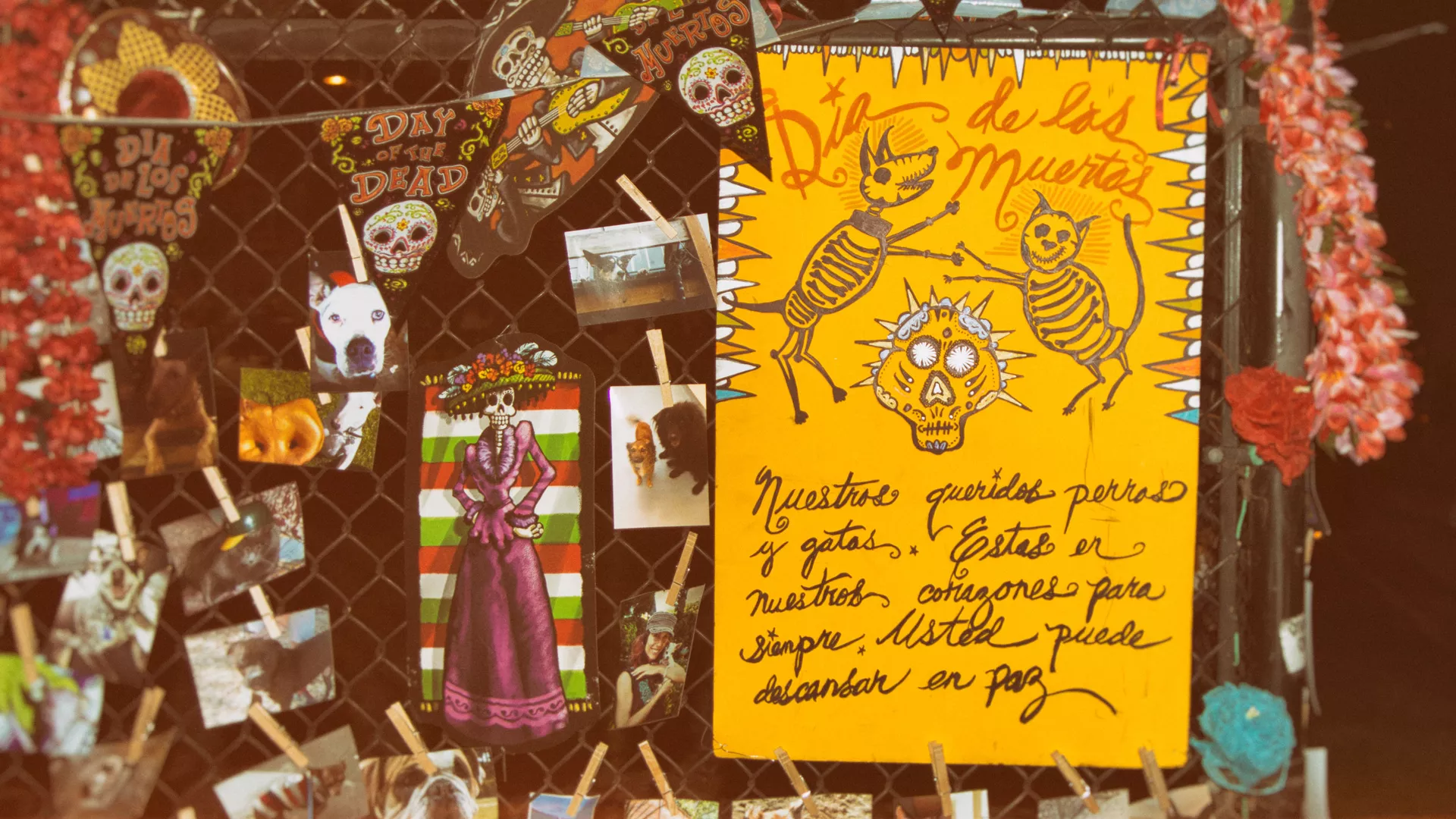 Mascotas en un altar durante celebración del Día de Muertos Mascotas en un altar durante celebración del Día de Muertos - Sputnik Mundo, 1920, 28.10.2021