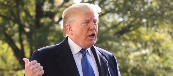 Donald Trump, presidente de EEUU - Sputnik Mundo