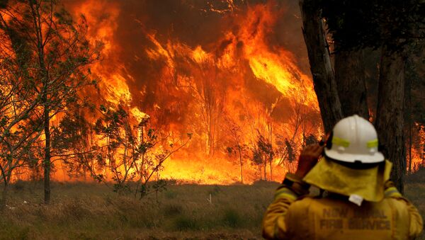 Incendios forestales en Australia - Sputnik Mundo