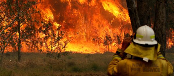 Incendios forestales en Australia - Sputnik Mundo