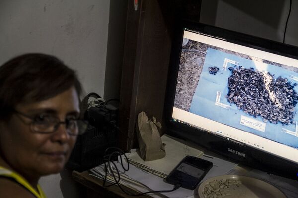 Quince años sin Fanny: el periplo de una familia mexicana buscando a su hija desaparecida Quince años sin Fanny: el periplo de una familia mexicana buscando a su hija desaparecida - Sputnik Mundo