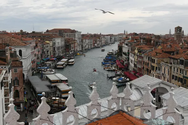 Venecia se hunde, ¿repite la 'perla' de Italia el destino de la Atlántida?
Venecia se hunde, ¿repite la 'perla' de Italia el destino de la Atlántida?
- Sputnik Mundo