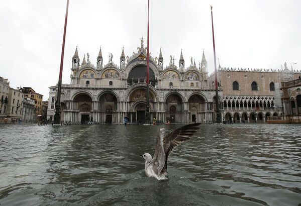 Venecia se hunde, ¿repite la 'perla' de Italia el destino de la Atlántida?
 - Sputnik Mundo