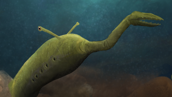 Tullimonstrum, o Monstruo de Tully - Sputnik Mundo