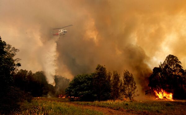 Los incendios forestales en Australia, fuera de control
 - Sputnik Mundo