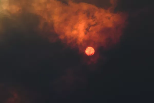 Los incendios forestales en Australia, fuera de control
Los incendios forestales en Australia, fuera de control
- Sputnik Mundo