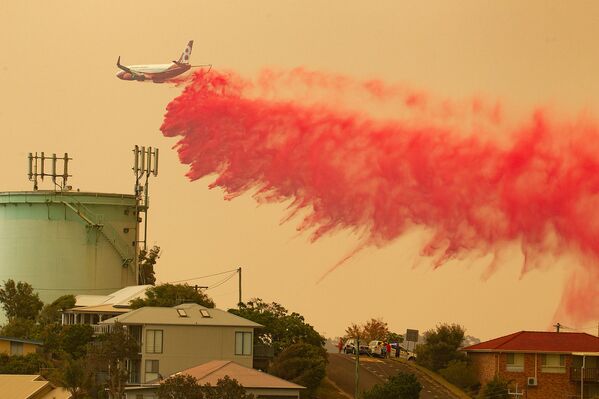 Los incendios forestales en Australia, fuera de control
 - Sputnik Mundo