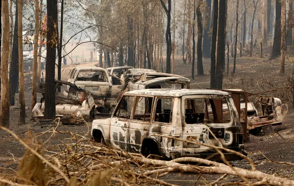 Los incendios forestales en Australia, fuera de control
Los incendios forestales en Australia, fuera de control
- Sputnik Mundo