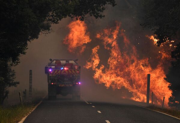 Los incendios forestales en Australia, fuera de control
 - Sputnik Mundo