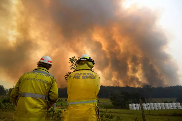 Los incendios forestales en Australia, fuera de control
Los incendios forestales en Australia, fuera de control
- Sputnik Mundo