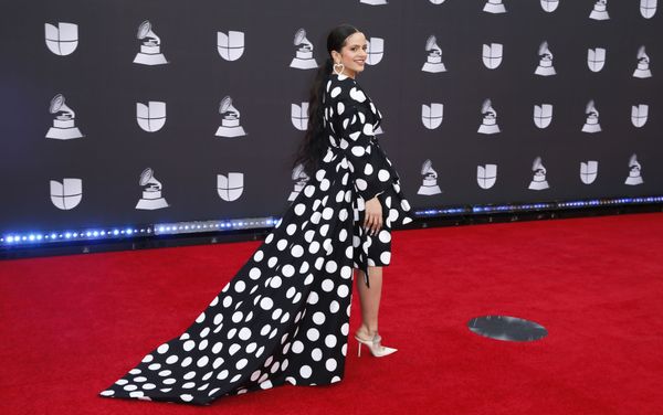 Las más despampanantes artistas de la alfombra roja de los Grammy Latinos  - Sputnik Mundo