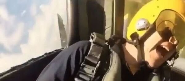 Dentro de la cabina de los Blue Angels - Sputnik Mundo