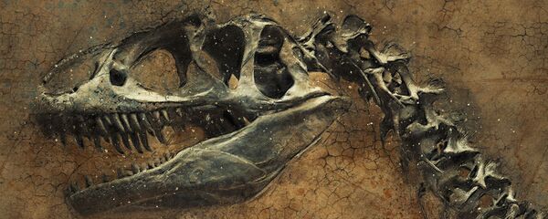 El esqueleto de un dinosaurio - Sputnik Mundo