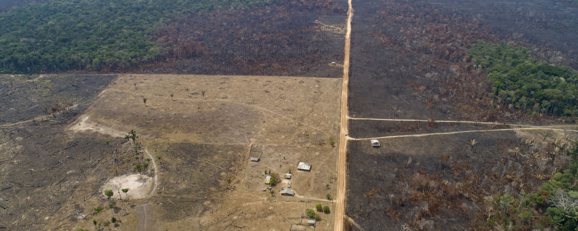 La deforestación en Amazonía - Sputnik Mundo, 1920, 09.04.2021