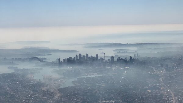 Humo de los incendios forestales cubre Sídney, Australia - Sputnik Mundo