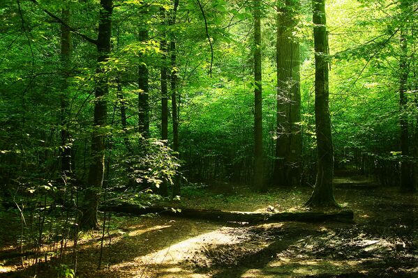 National Geographic elige los mejores destinos de 2020 - Sputnik Mundo