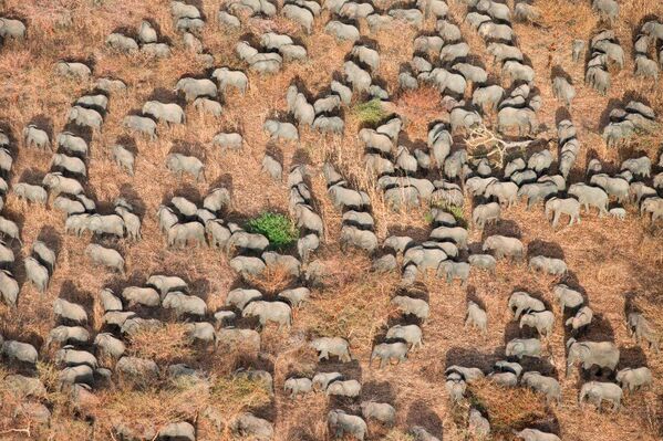 National Geographic elige los mejores destinos de 2020 - Sputnik Mundo
