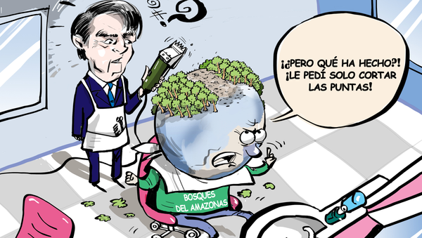 Bolsonaro esquila la Amazonía - Sputnik Mundo