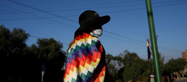 Un manifestante a favor de Evo Morales con una Whipala - Sputnik Mundo