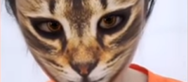 La reacción de los perros tras ver a sus dueños con un filtro felino La reacción de los perros tras ver a sus dueños con un filtro felino - Sputnik Mundo