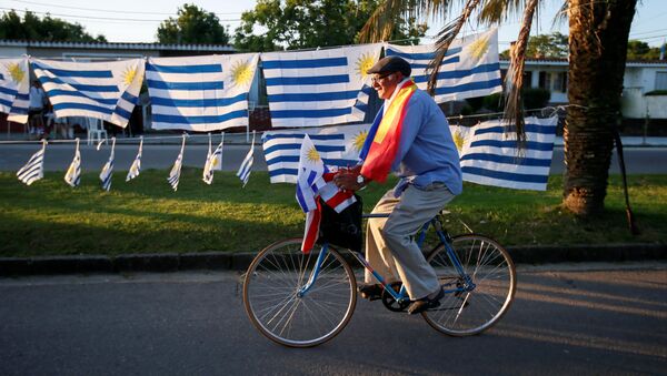 Banderas de Uruguay  - Sputnik Mundo