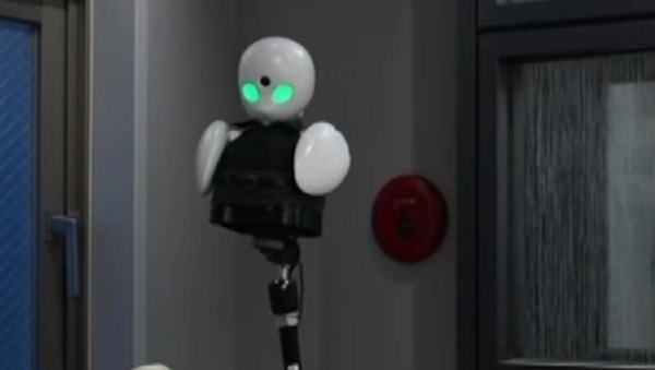 Este robot ayuda a los discapacitados a disfrutar del mundo exterior - Sputnik Mundo