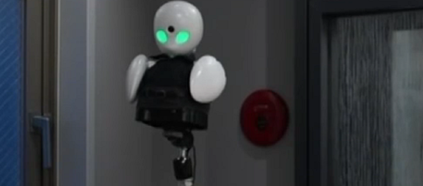 Este robot ayuda a los discapacitados a disfrutar del mundo exterior Este robot ayuda a los discapacitados a disfrutar del mundo exterior - Sputnik Mundo