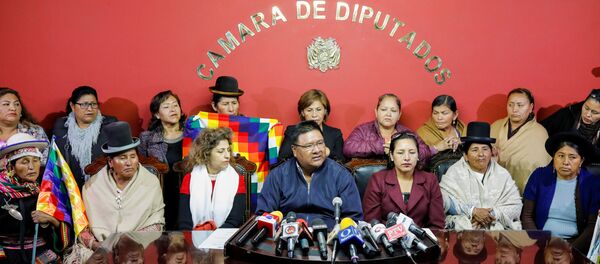 Diputados del Movimiento Al Socialismo (Archivo) - Sputnik Mundo