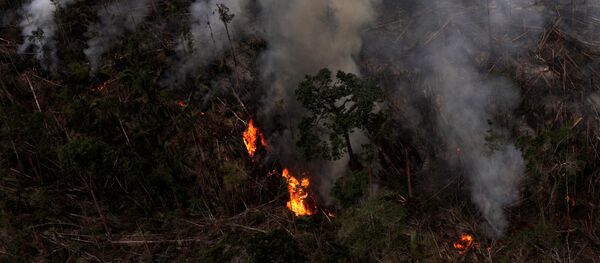 Incendio forestal en la Amazonía brasilena - Sputnik Mundo