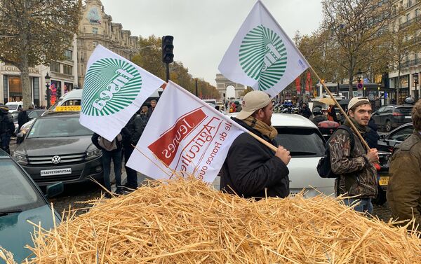 Protesta de agricultores en París Protesta de agricultores en París - Sputnik Mundo