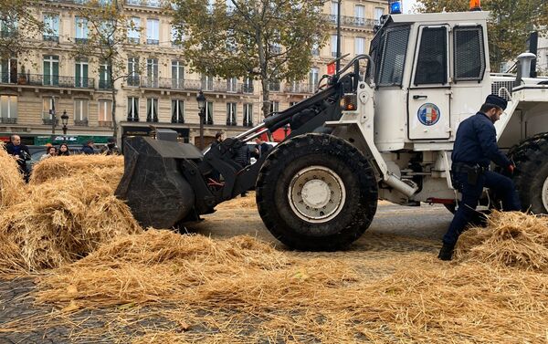 Protesta de agricultores en París Protesta de agricultores en París - Sputnik Mundo