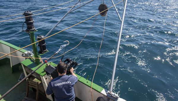 Testigos de la devastación del suelo marino en el agujero azul de Argentina - Sputnik Mundo