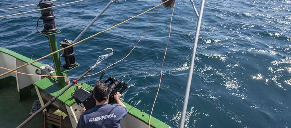 Testigos de la devastación del suelo marino en el agujero azul de Argentina - Sputnik Mundo