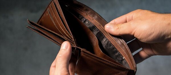 Un monedero (imagen referencial) - Sputnik Mundo