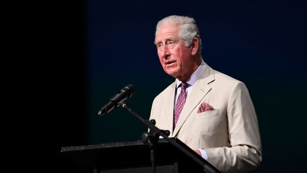 Carlos de Gales, heredero al trono del Reino Unido - Sputnik Mundo